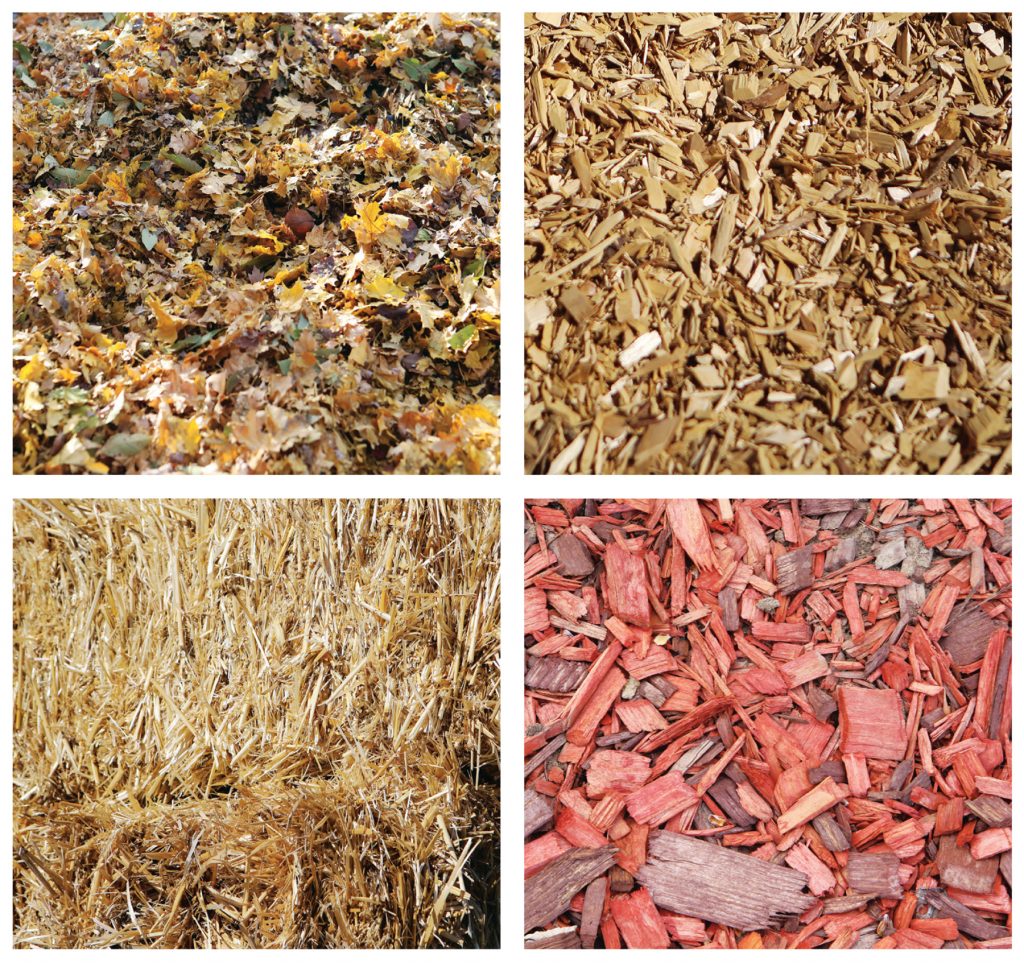 How to Get the Best Garden Mulch to Prevent Weeds for Free - Simplify ... Best mulch for weed control